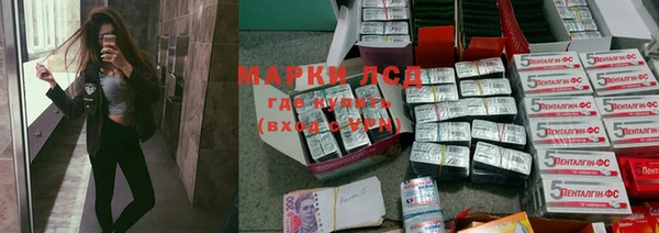 Альфа ПВП Магадан