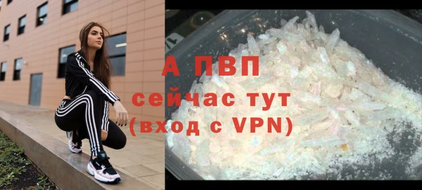 Альфа ПВП Магадан